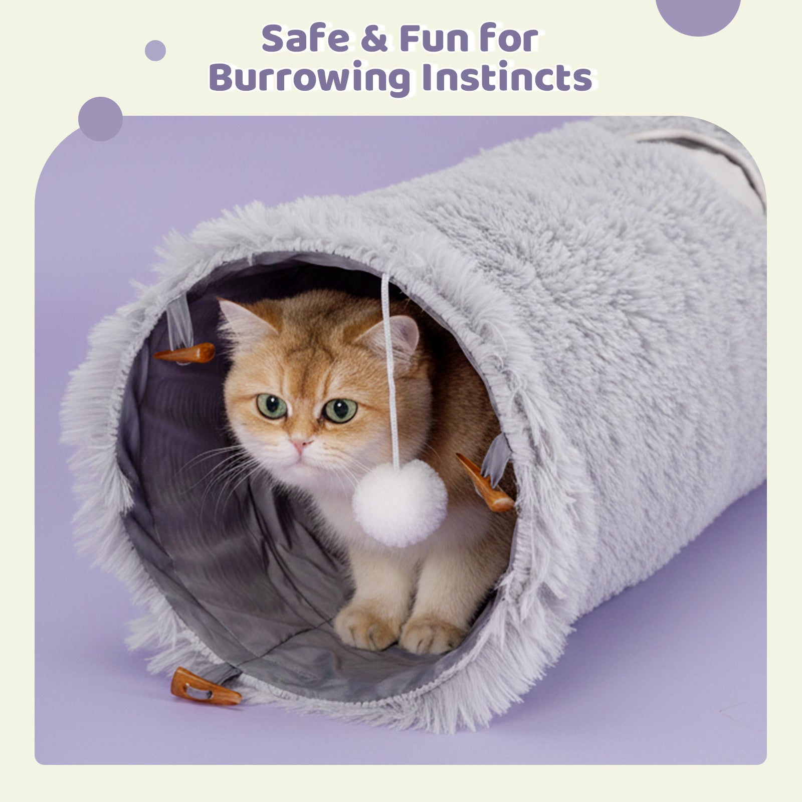 Elves in the Gray Cat Tunnel