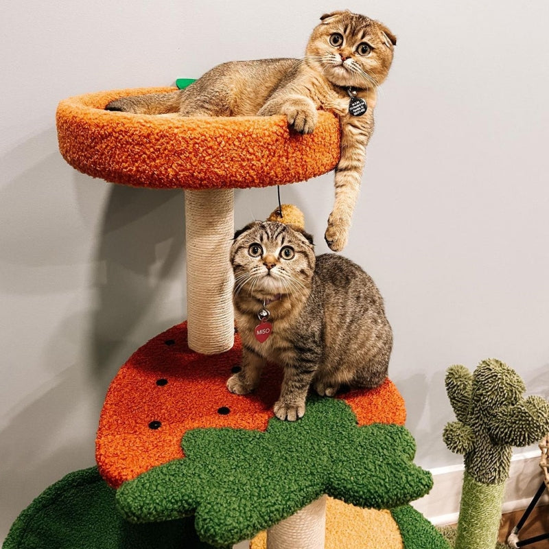 Fruit World Cat Tree