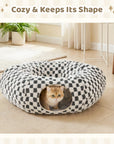 Elves in the Checkerboard Cat Tunnel