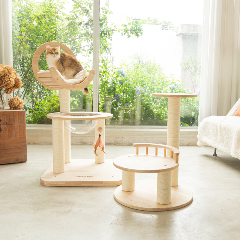 Happy & Polly Online Pet Store | Cat Bowls, Toys, Trees & Supplies