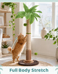 Coconut Palm Cat Scratching Post