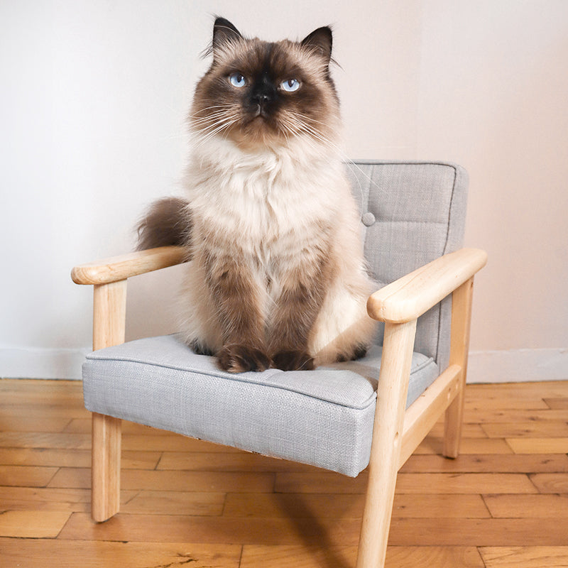 Wood Backrest Cat Sofa Chair