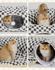 Elves in the Checkerboard Cat Tunnel