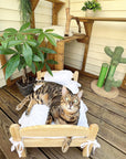 Adorable Wooden Cat Bed