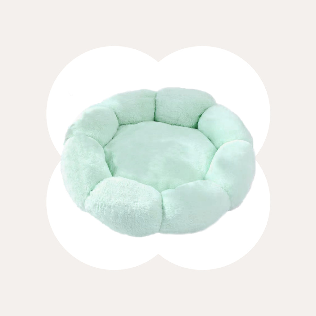 Flower Shaped Cat Bed