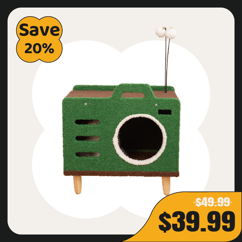 Cozy Green Radio Cat Bed