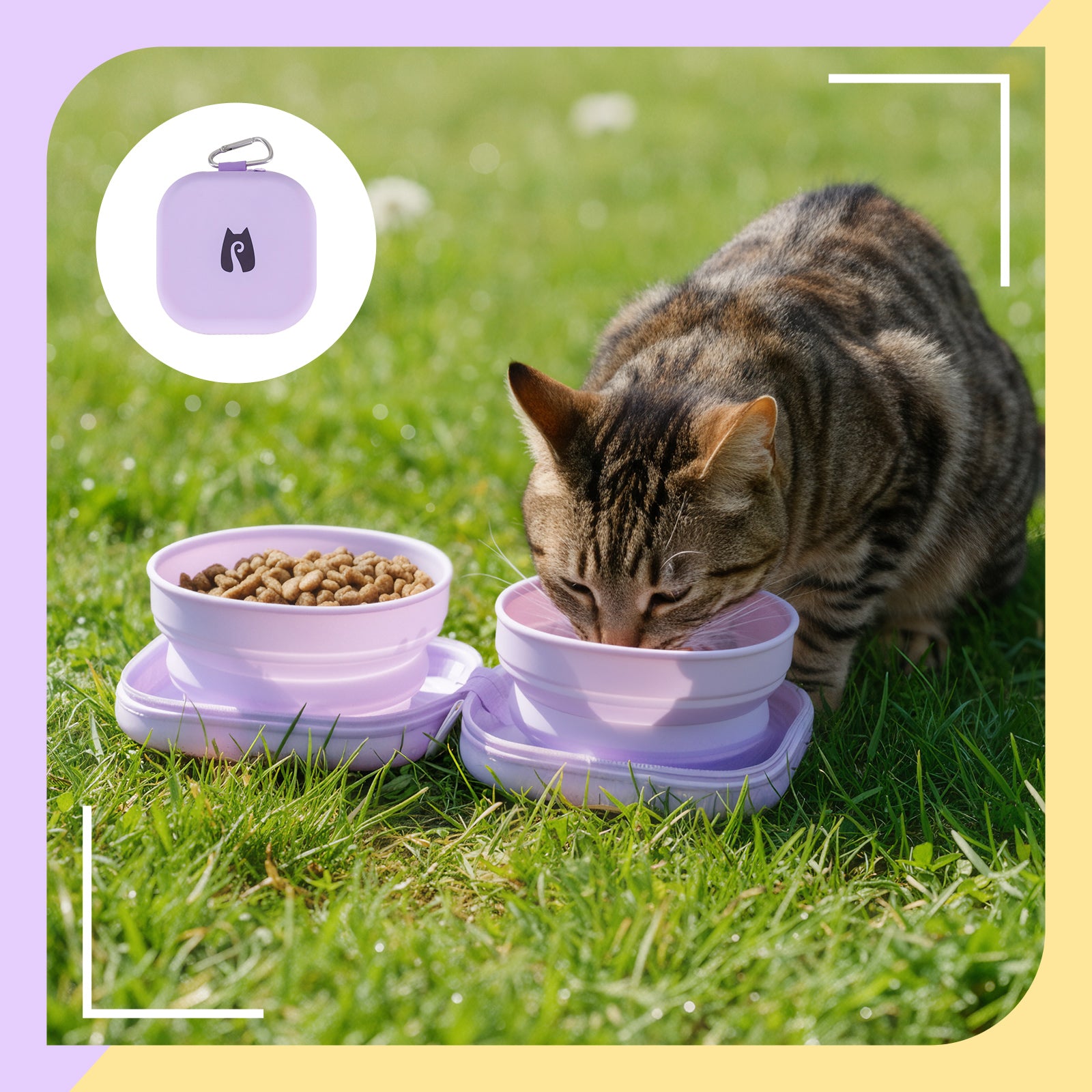 20oz Portable Double Cat Bowl