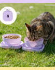 20oz Portable Double Cat Bowl