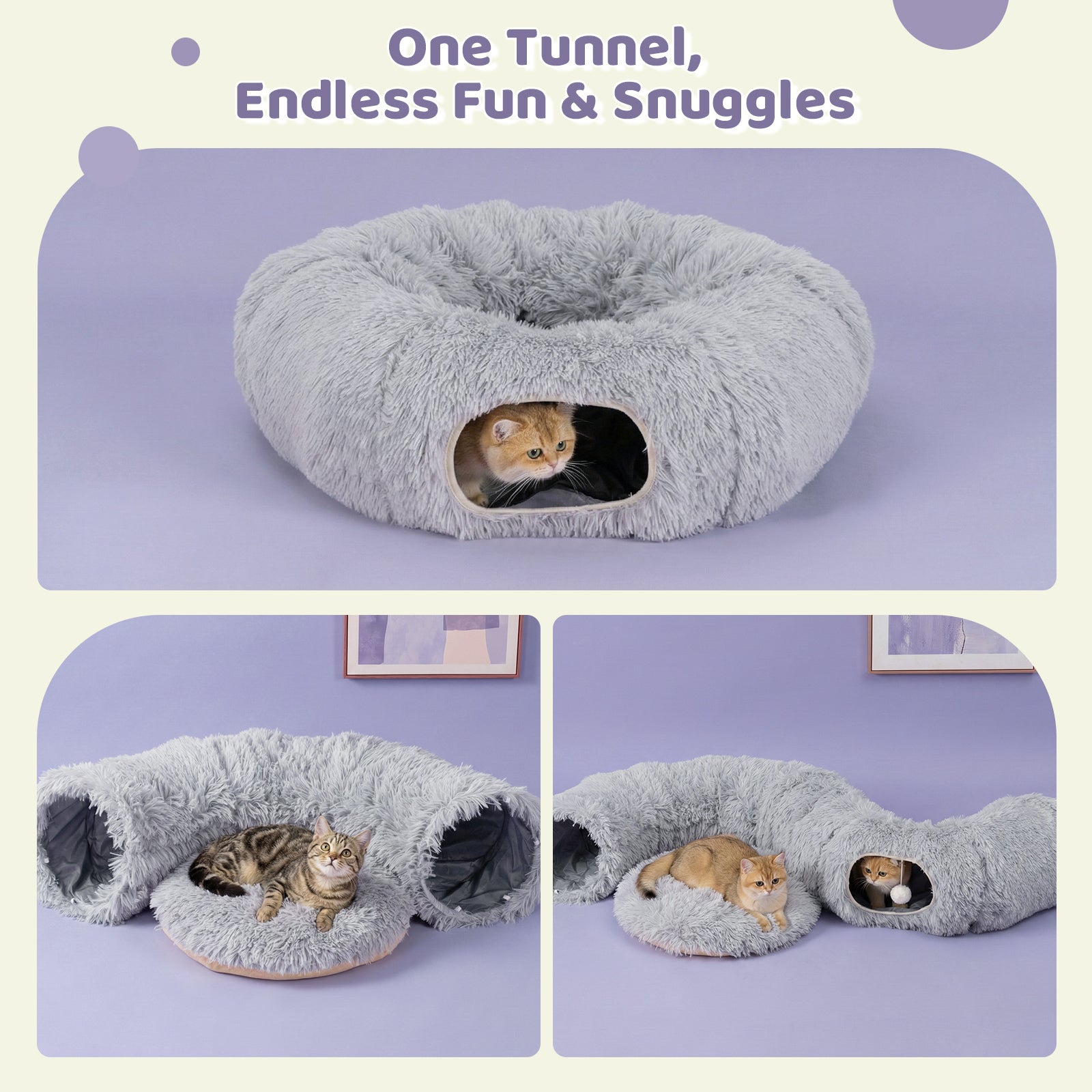 Elves in the Gray Cat Tunnel