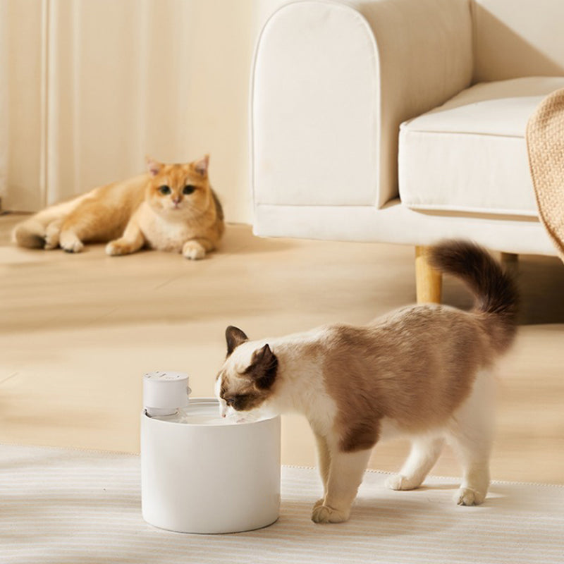 Automatic Cat Water Fountain: Dual Water Modes