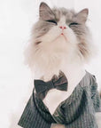 Stylish Cat Wedding Tuxedo