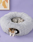 Elves in the Gray Cat Tunnel