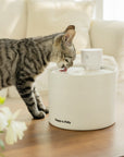 Automatic Cat Water Fountain-Upgraded Filtration System