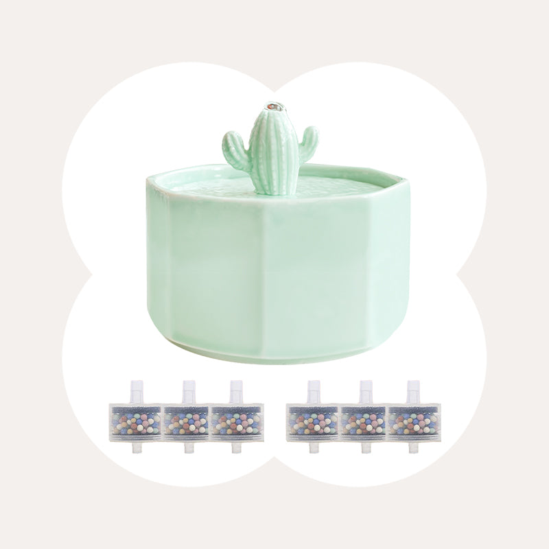 succulent water fountain cat Happy & Polly Cactus Style Ceramic Cat Water Fountain, 1.5-liter