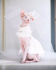 Elegant Cat Wedding Dress with Veil