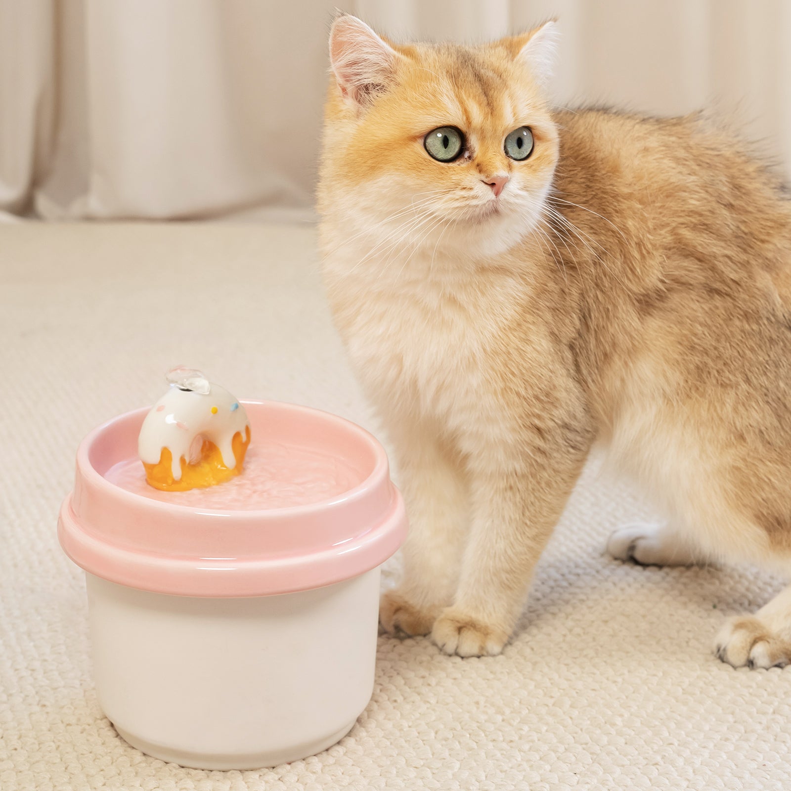 42oz Donut Style Cat Water Fountain