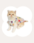 Flower Embroidery Cat Dress