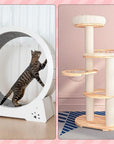 Modern Style Cat Playground Set