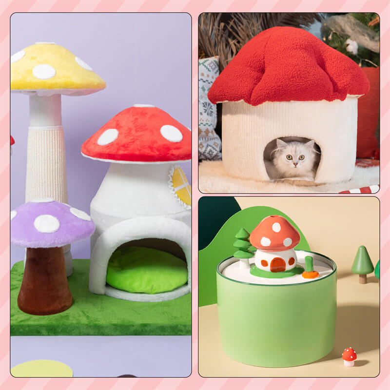 Mushroom Series Set