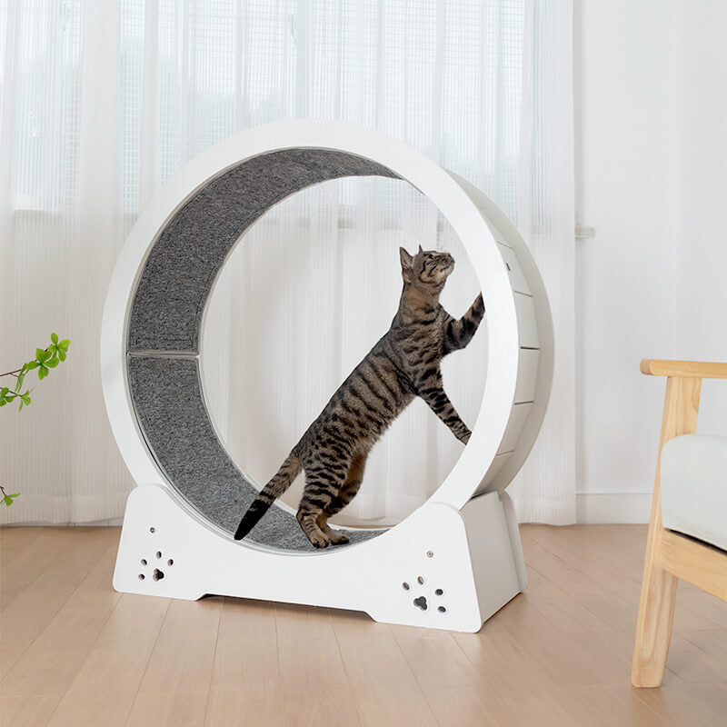 Happy & Polly Elegance Globe Cat Wheel $219.99 (reg $440)