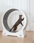 Elegance Globe Cat Wheel