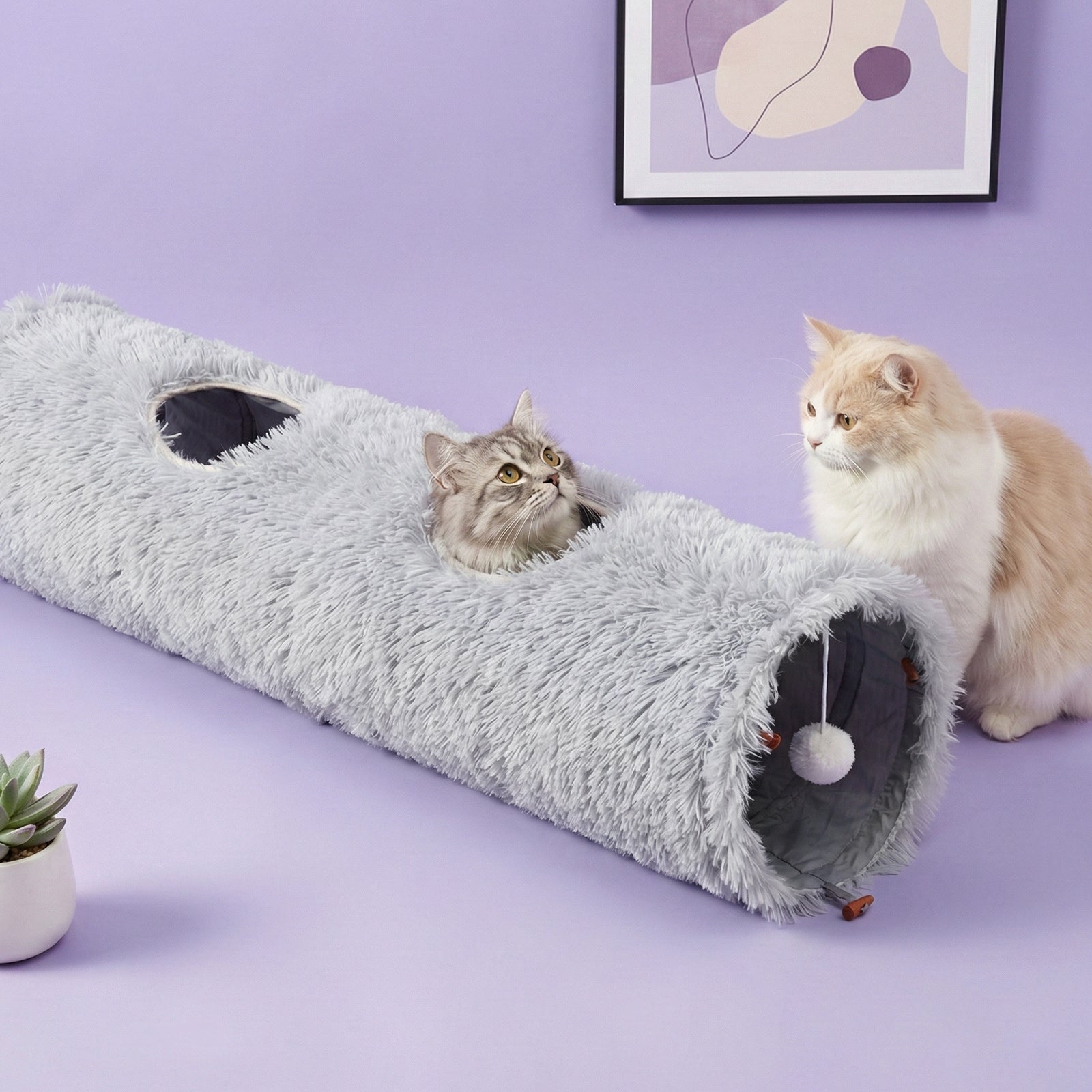 Elves in the Gray Cat Tunnel