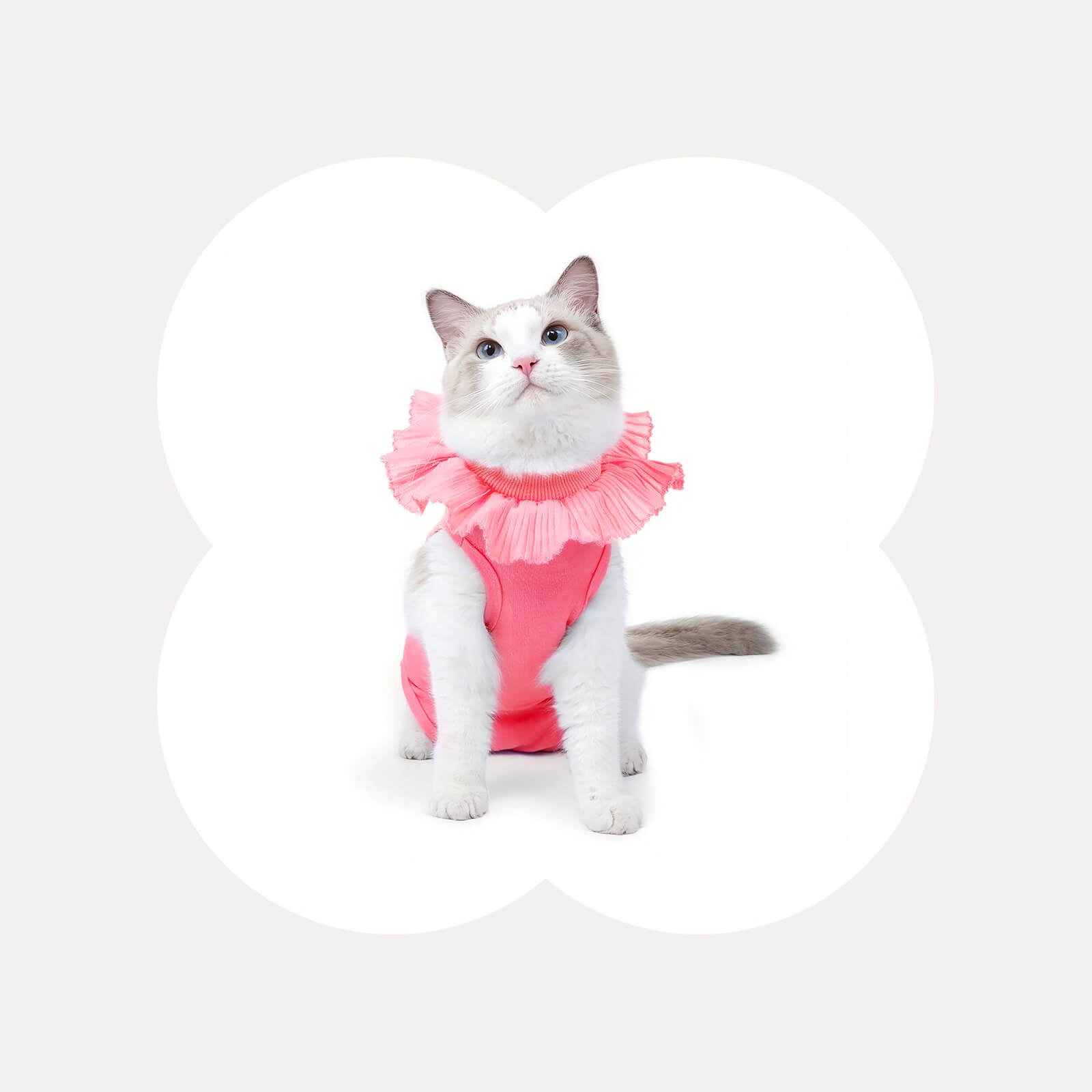 Cat Clothes | Best Cat Costume Online Shopping Happy & Polly Cat Clothes | Best Cat Costume Online Shopping Happy & Polly