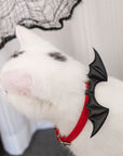 Devil Wing Collar for Cats and Humans