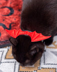 Devil Wing Collar for Cats and Humans