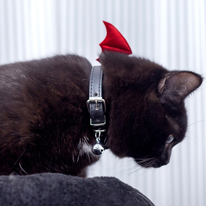 Devil Wing Collar for Cats and Humans