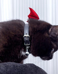 Devil Wing Collar for Cats and Humans