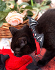 Devil Wing Collar for Cats and Humans