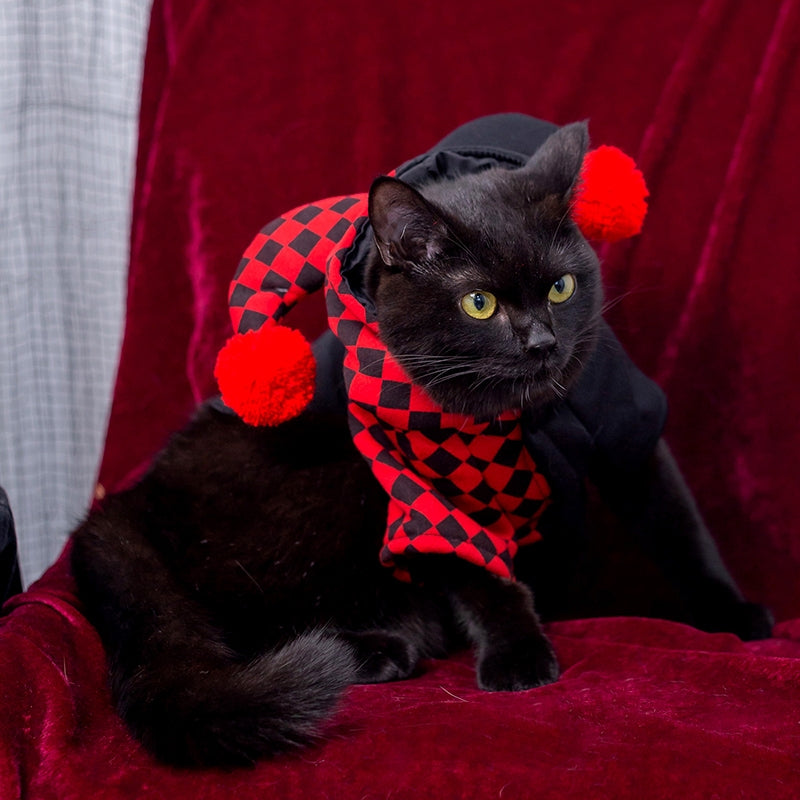 Red and Black Checkered Cat Clown Costume