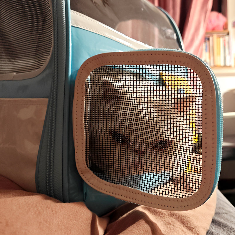 Old School Style Cat Carrier