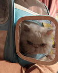TV Shape Capsule Cat Carrier – Happy & Polly