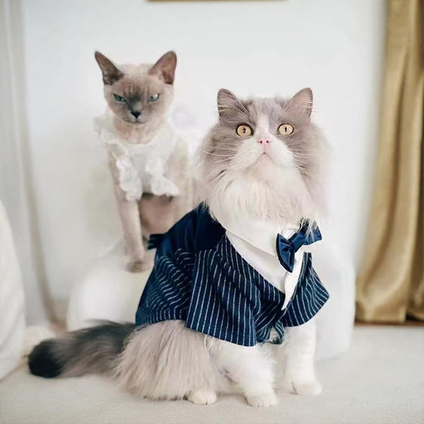 Cat fashion tuxedo outfit