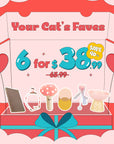 Playful Paws Box: 6 Fun Picks for Cats