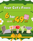 Playful Paws Box: 6 Fun Picks for Cats