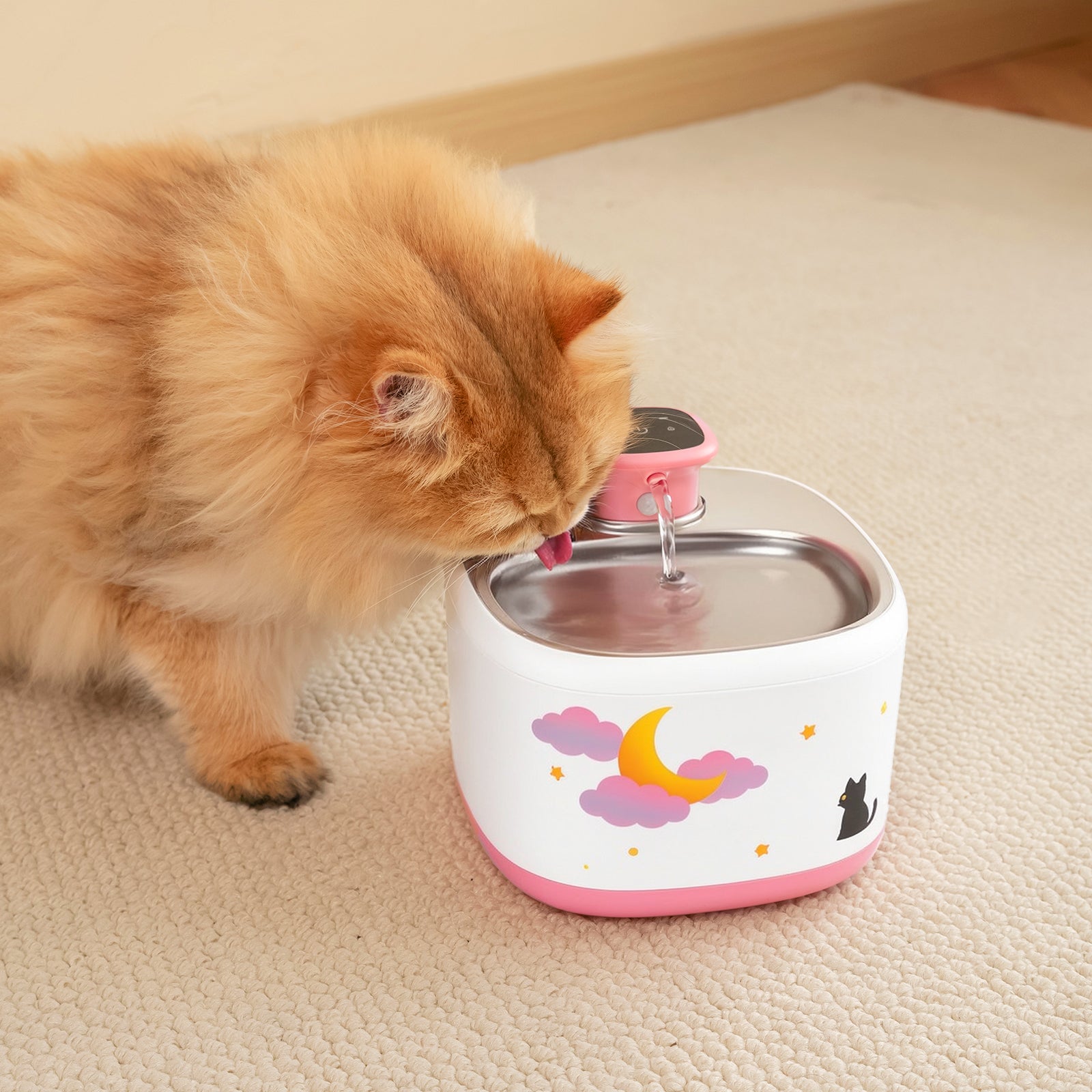 Starlight Serenity Bundle