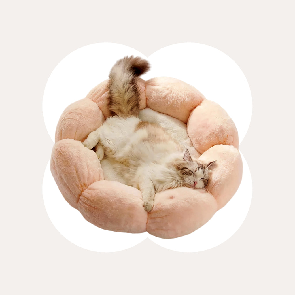 Bloomy Flower Cozy Plush Cat Bed