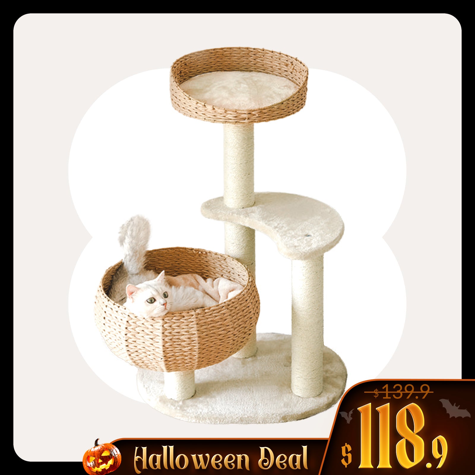 Sleeping in the Bowl Cat Tree