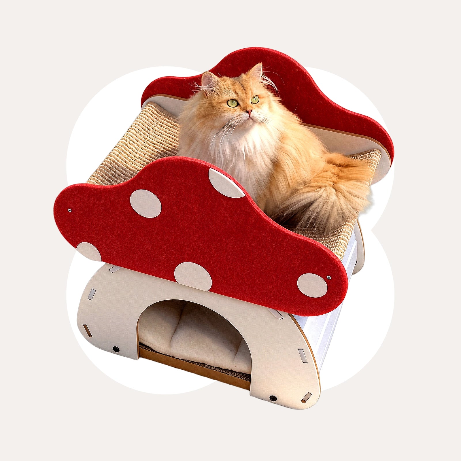 Mushroom Loft – Cat Bed &amp; Scratcher Combo