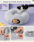 Elves in the Gray Cat Tunnel