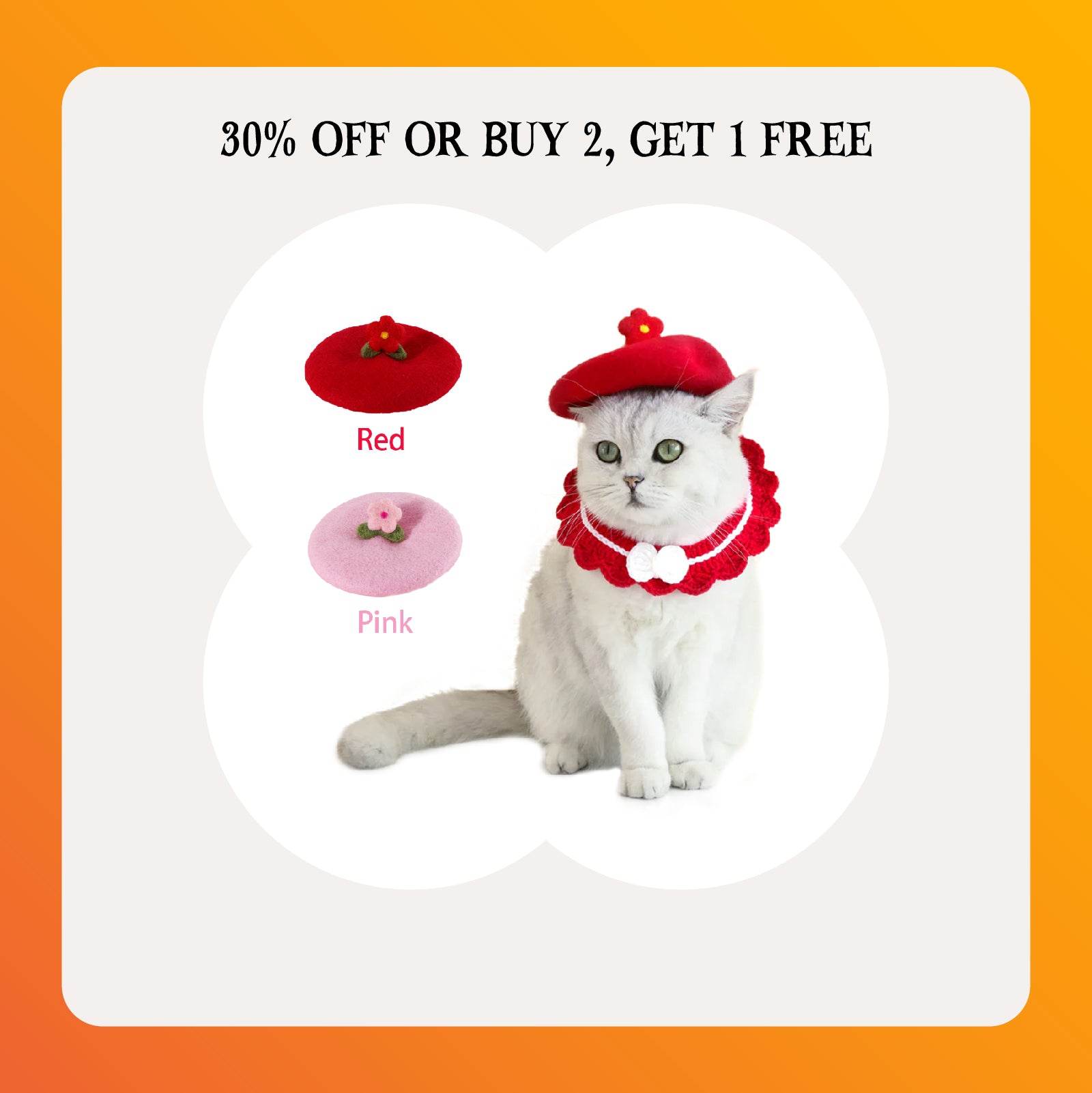 Buy cat accessories hotsell