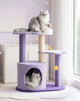 Cat resting on Moonlight Cottage Cat Tree