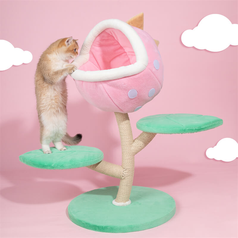 Happy & Polly Online Pet Store | Cat Bowls, Toys, Trees & Supplies