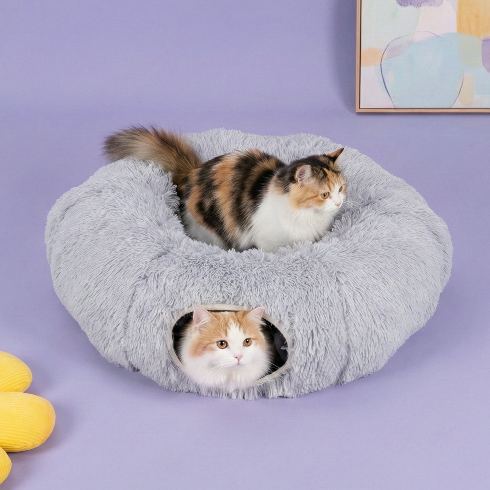 Elves in the Gray Cat Tunnel