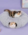 Elves in the Gray Cat Tunnel