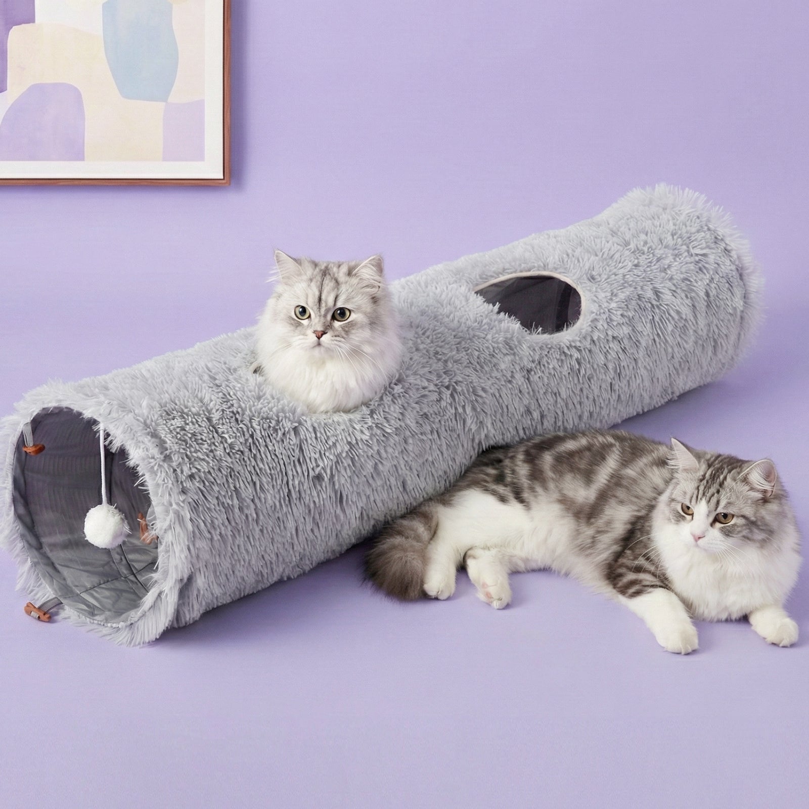 Elves in the Gray Cat Tunnel
