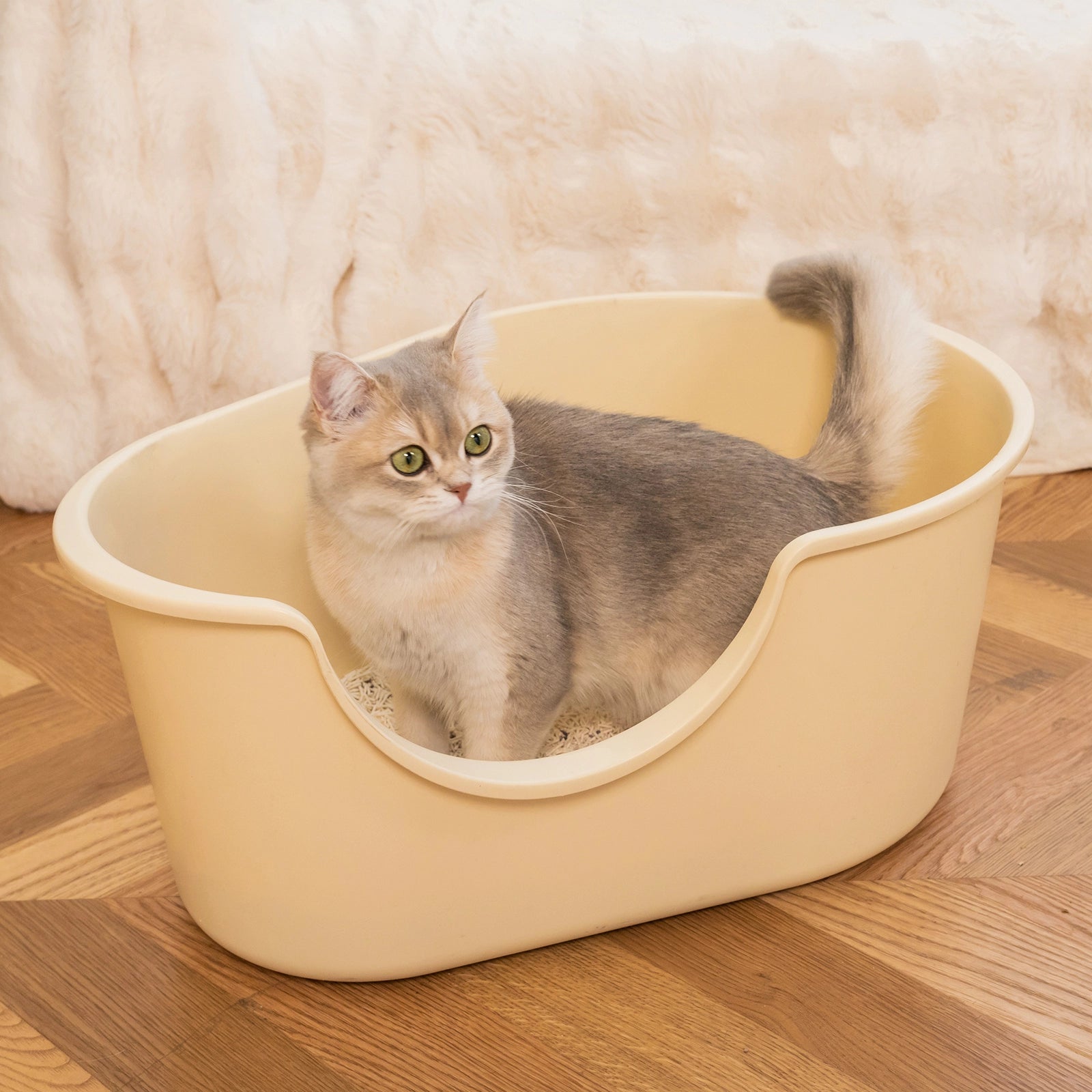 Dual-Mineral Odor Guard Cat Litter Deodorizer